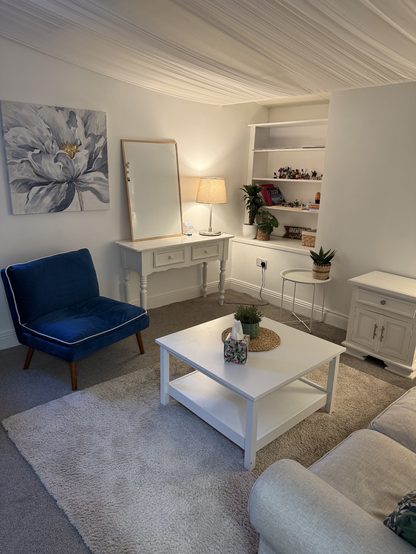 Room of Sanara Psychotherapy